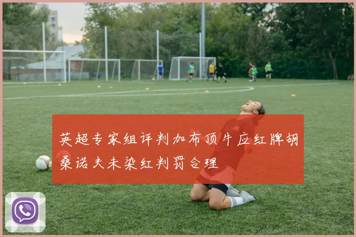 英超专家组评判加布顶牛应红牌胡桑诺夫未染红判罚合理